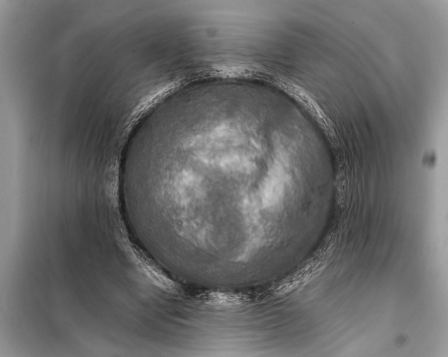 X0000098190442200805081051