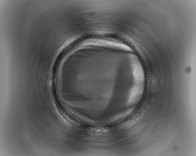 X0000098190443200805081051