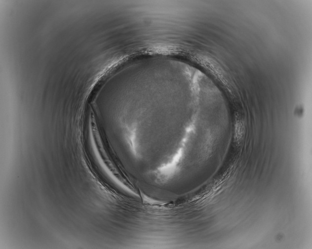 X0000098190444200805081051