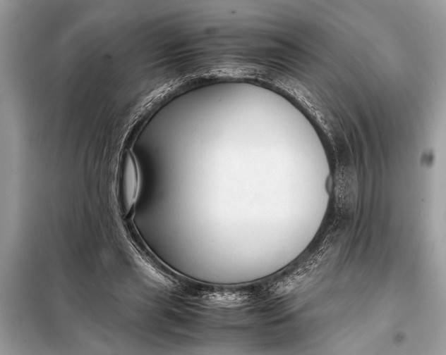 X0000098190445200805081051