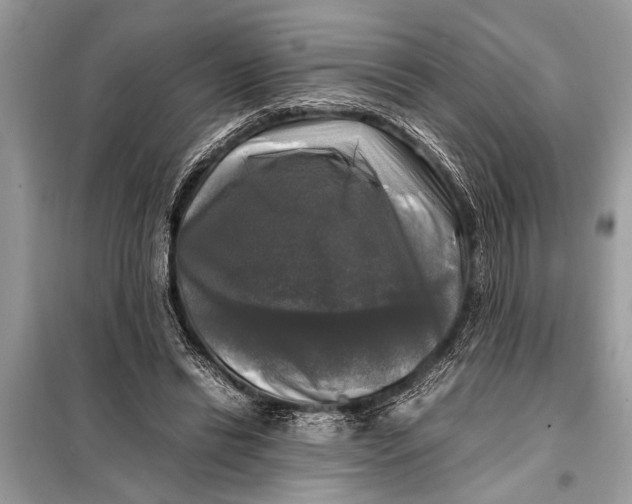 X0000098190446200805081051