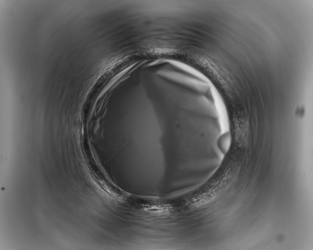 X0000098190447200805081051