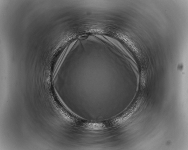 X0000098190449200805081051