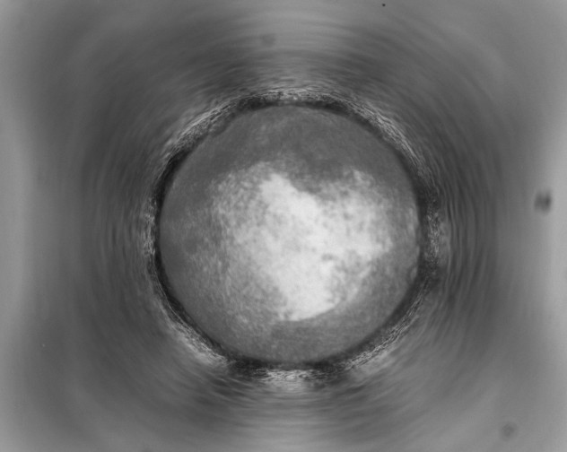 X0000098190450200805081051