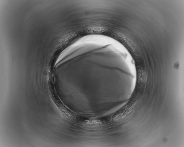 X0000098190451200805081051