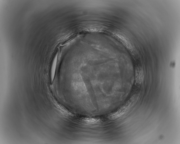 X0000098190453200805081051