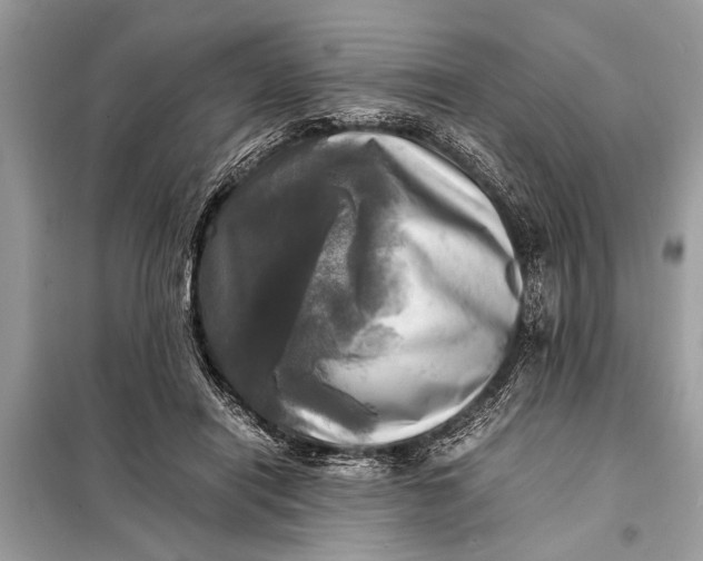 X0000098190454200805081051