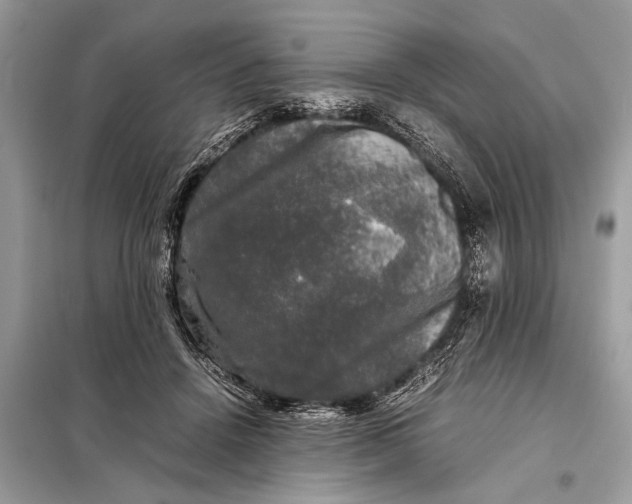 X0000098190456200805081051