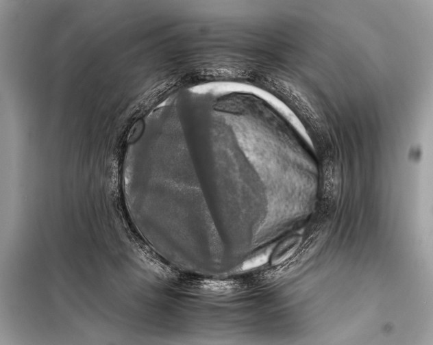 X0000098190457200805081051