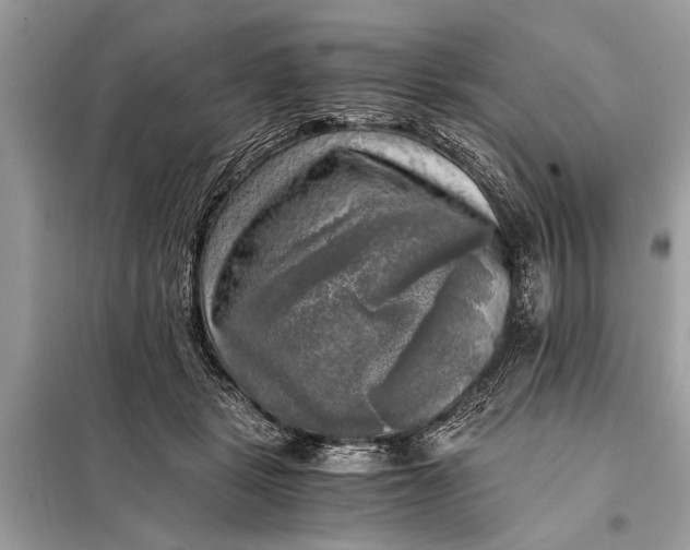 X0000098190461200805081052