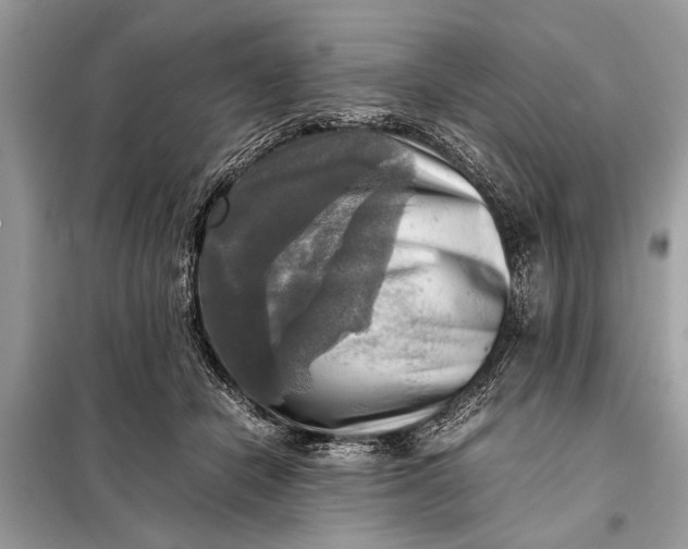 X0000098190462200805081052