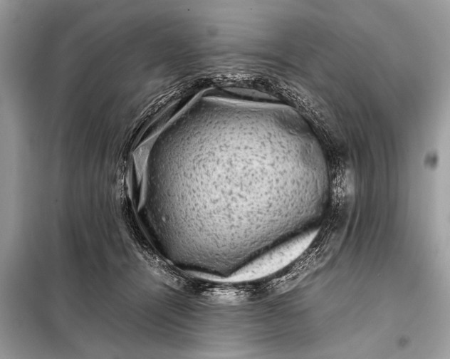 X0000098190464200805081052