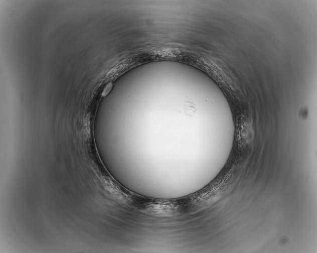X0000098190466200805081052