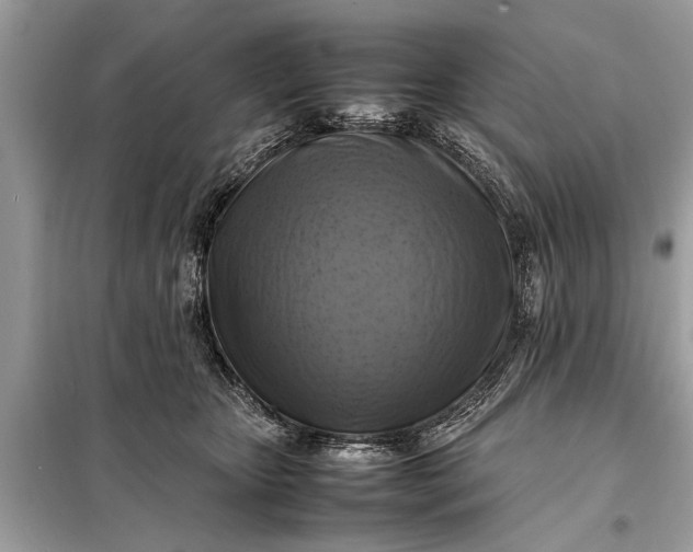 X0000098190467200805081052