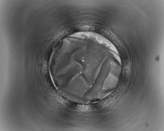 X0000098190469200805081052