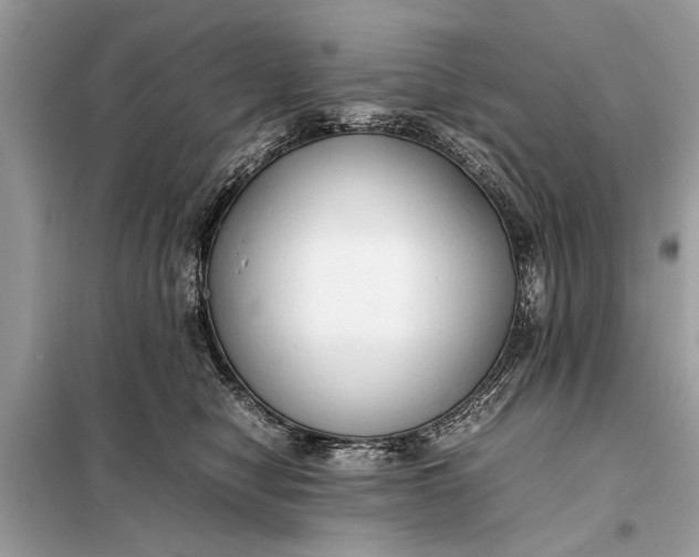 X0000098190470200805081052