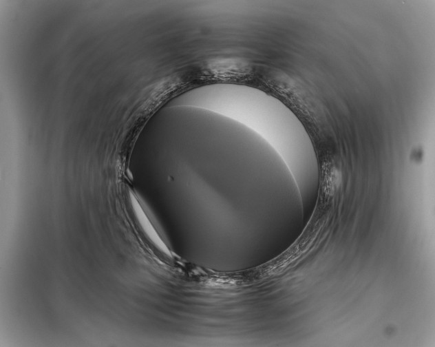 X0000098190471200805081052
