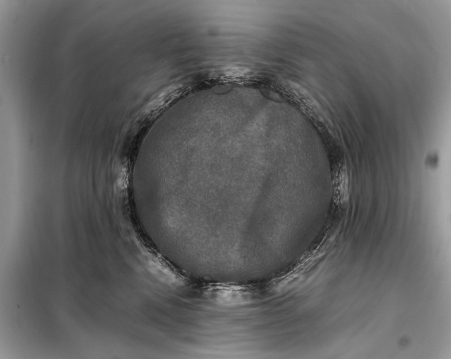 X0000098190472200805081052