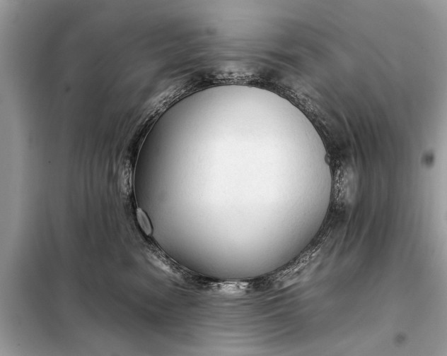X0000098190474200805081052
