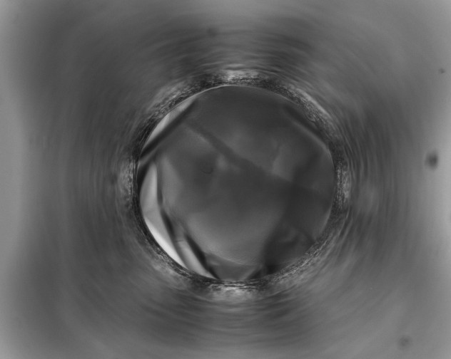 X0000098190475200805081052