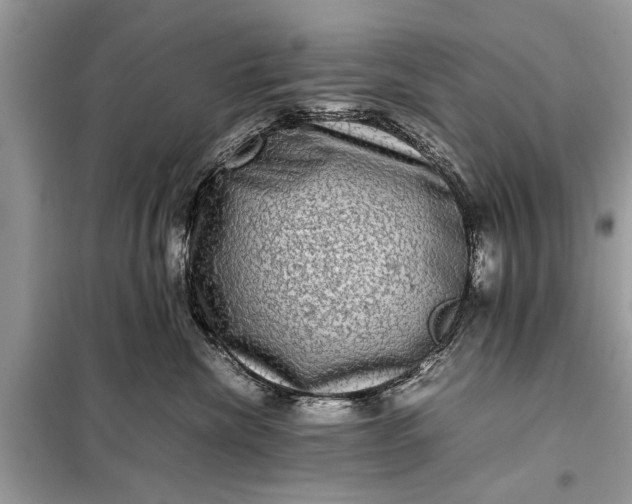 X0000098190476200805081052