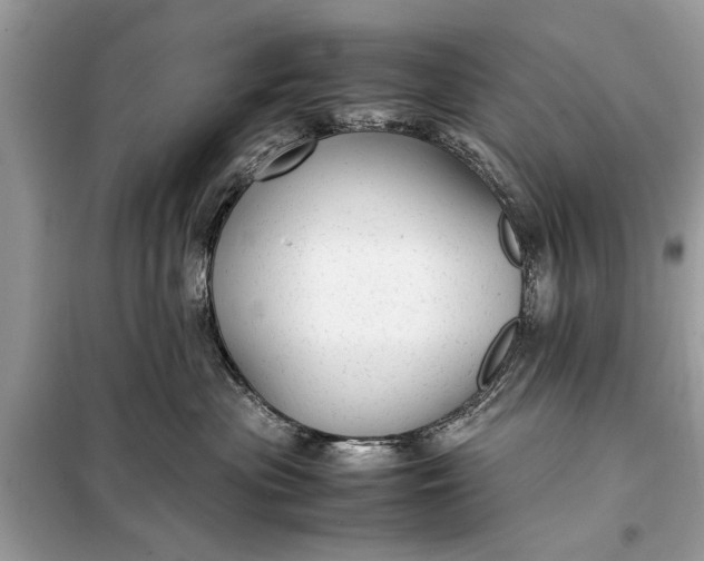 X0000098190477200805081052