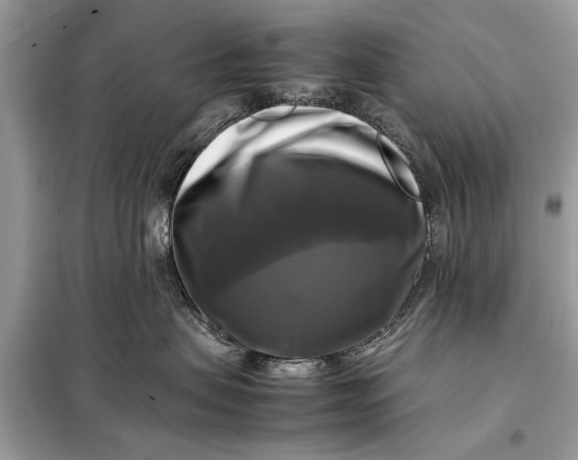 X0000098190479200805081052