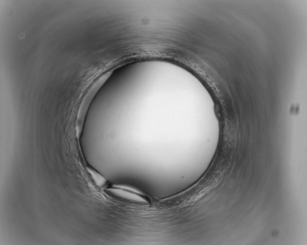 X0000098190481200805081051