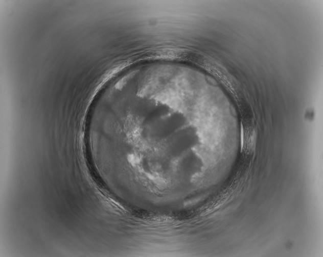 X0000098190483200805081051