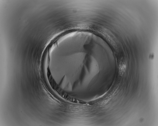 X0000098190484200805081051