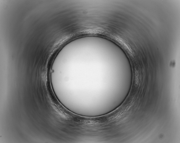 X0000098190486200805081051