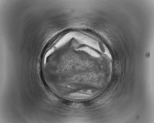 X0000098190487200805081051