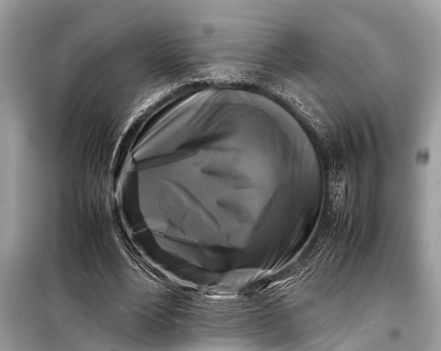 X0000098190488200805081051