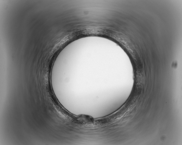 X0000098190489200805081051