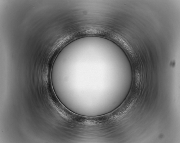 X0000098190490200805081051