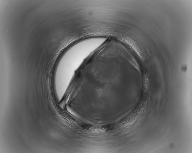 X0000098190491200805081051