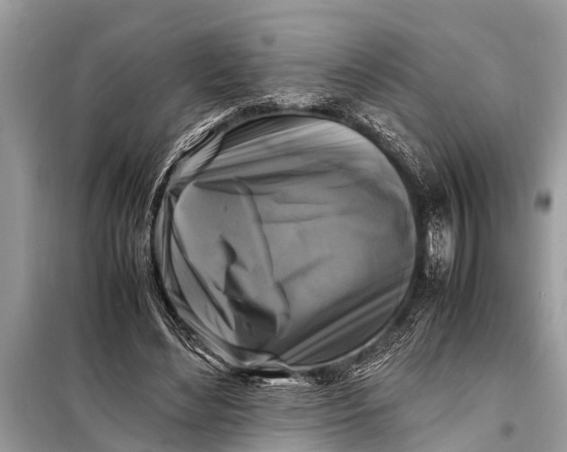 X0000098190492200805081051
