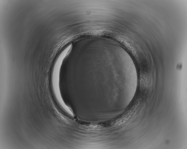X0000098190493200805081051