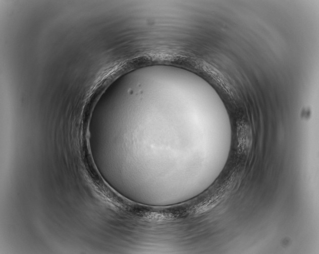 X0000098190494200805081051