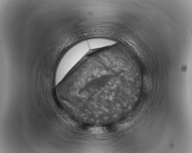 X0000098190499200805081051