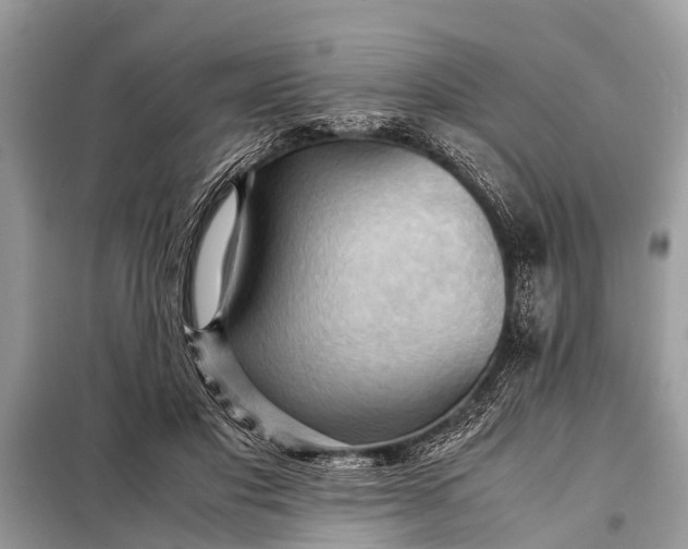 X0000098190501200805081051