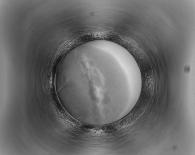 X0000098190502200805081051