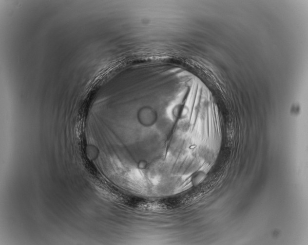 X0000098190503200805081051