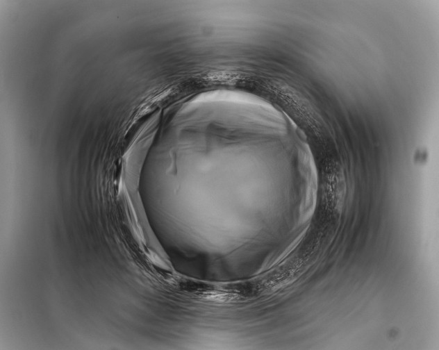 X0000098190504200805081051