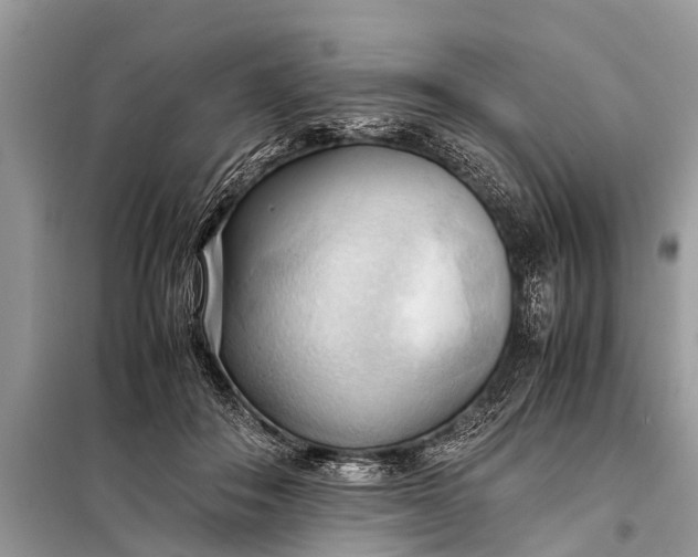 X0000098190506200805081051