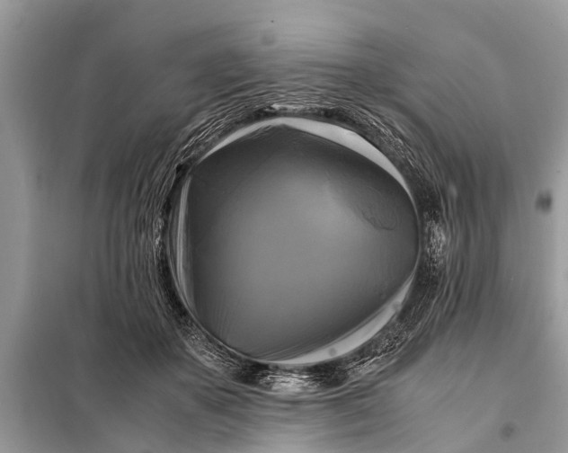 X0000098190507200805081051
