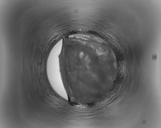 X0000098190511200805081051