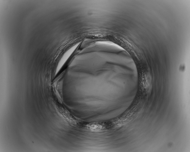 X0000098190512200805081051