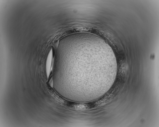 X0000098190513200805081051