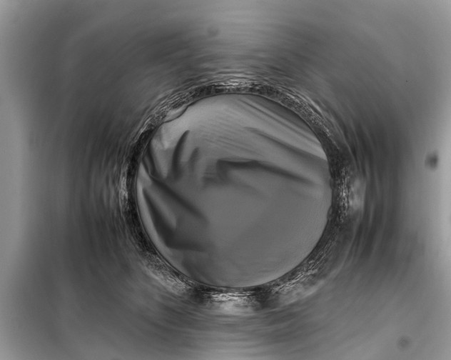 X0000098190516200805081051
